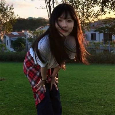 灵通汪星人